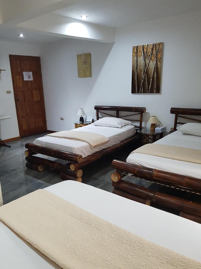 Puerto Viejo de Talamanca Hotel Bugabutik מראה חיצוני תמונה